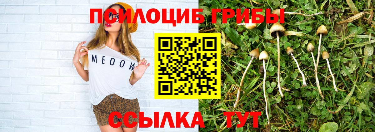 Галлюциногенные грибы мицелий  Галлюциногенные грибы мицелий  даркнет сайт  Вход с VPN  Асбест 