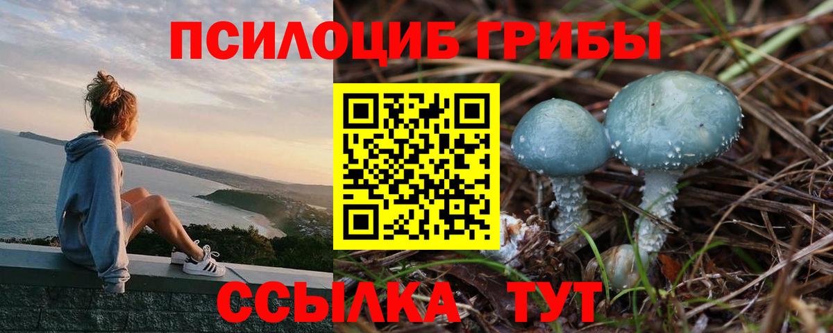 Псилоцибиновые грибы MAGIC MUSHROOMS Асбест